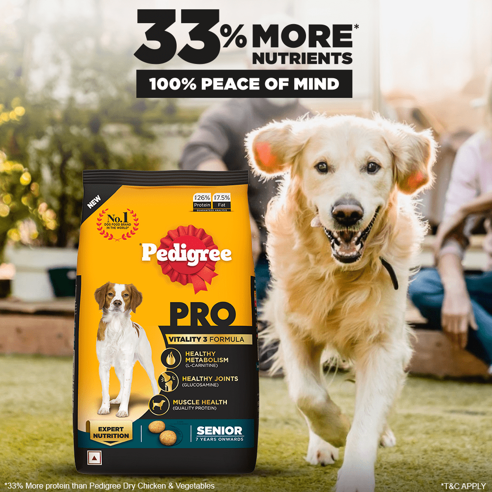 Pedigree PRO Expert Nutrition Senior(7+ Years) Adult Dog Dry Food