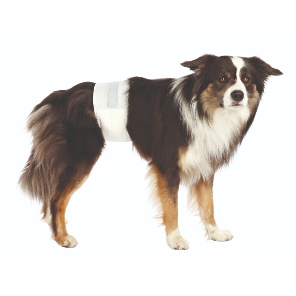 Trixie Disposible Diapers for Male Dogs (Pack of 12)