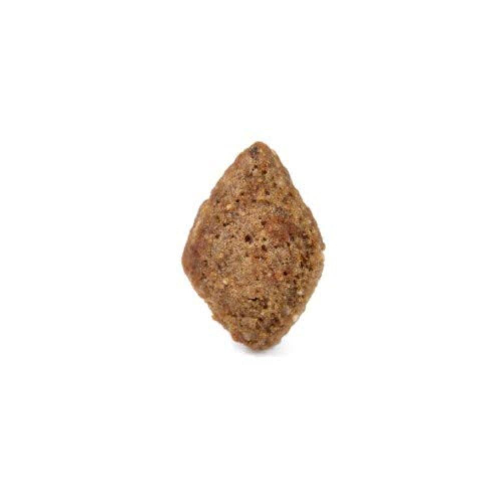 Arden Grange Salmon & Rice Adult Dog Dry Food