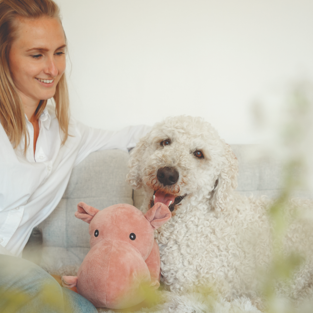 Trixie Hippo Toy for Dogs