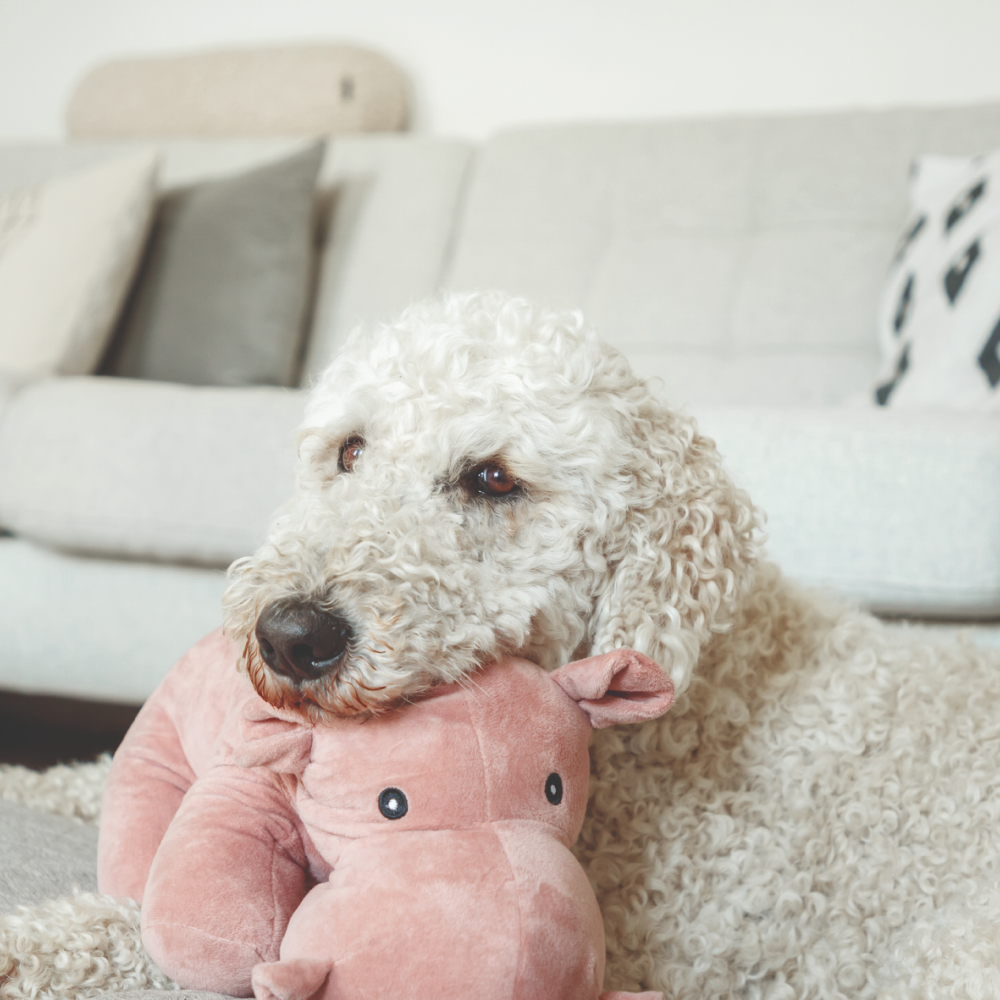 Trixie Hippo Toy for Dogs