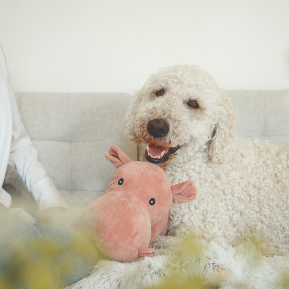 Trixie Hippo Toy for Dogs