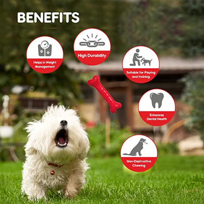 Drools Non Toxic Rubber Chew Bone Teething Toy for Puppies and Dogs