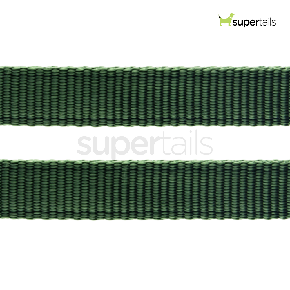 Trixie Premium Leash for Dogs (Forest)