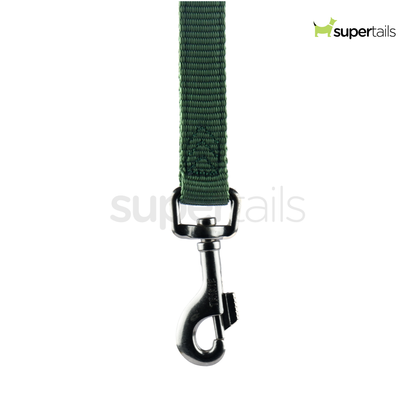 Trixie Premium Leash for Dogs (Forest)