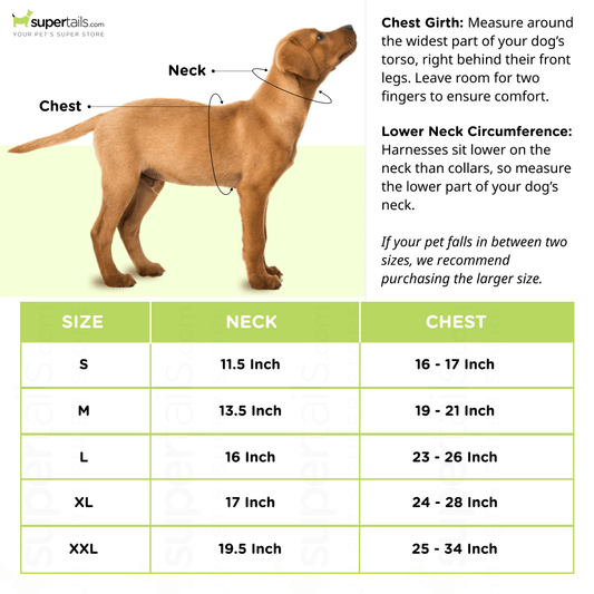 Beaphar Calming Collar for Dogs