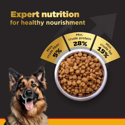 Pedigree PRO Large Adult Dry Food 10 KG + Container Free