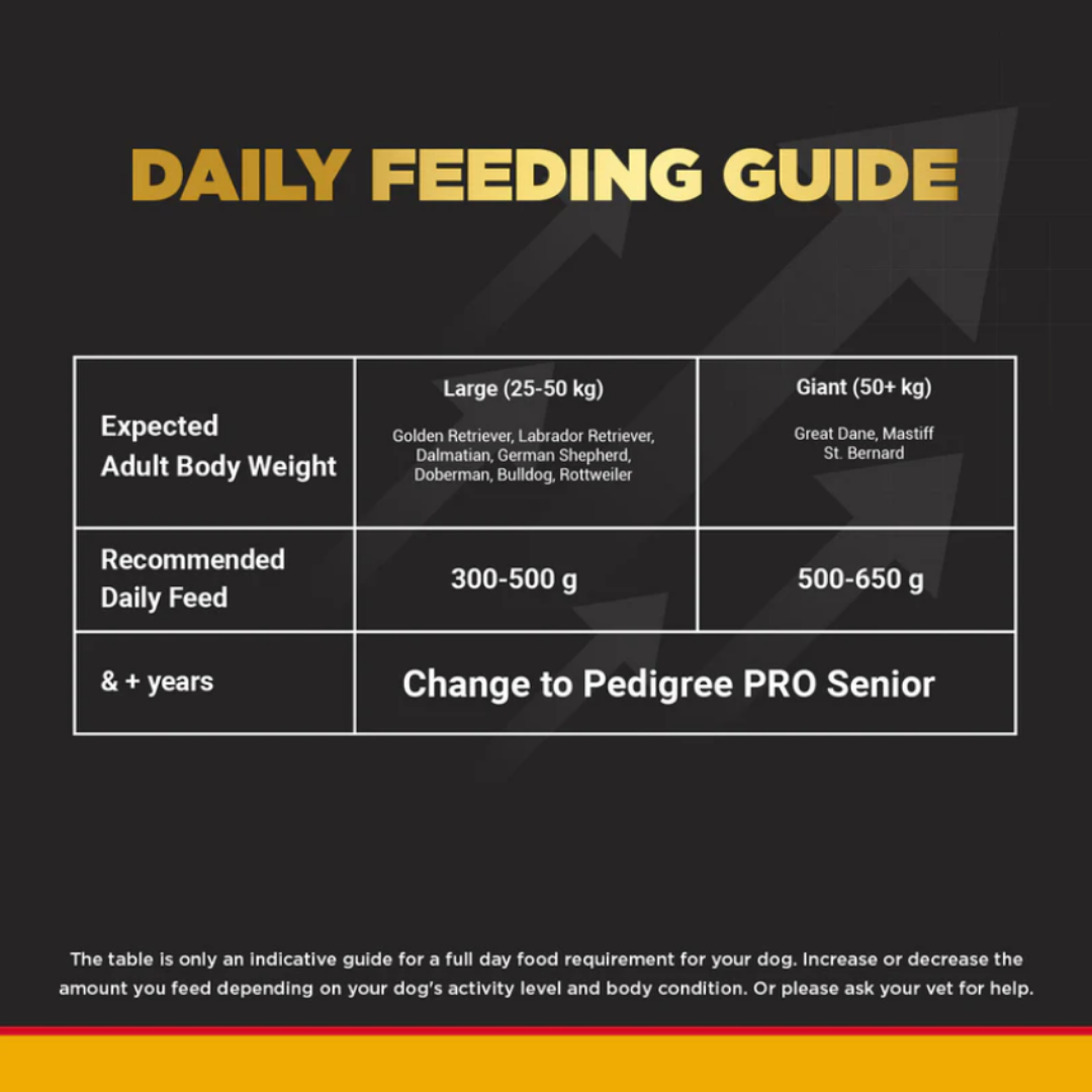Pedigree PRO Large Adult Dry Food 10 KG + Container Free