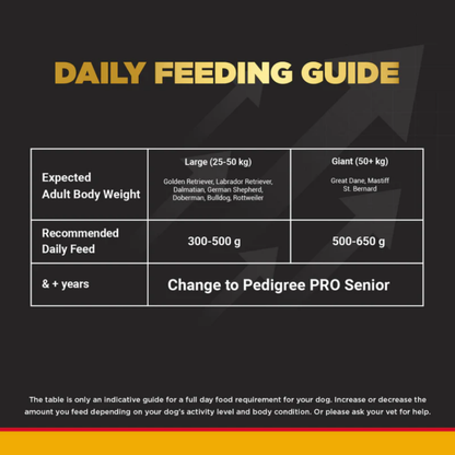 Pedigree PRO Large Adult Dry Food 10 KG + Container Free
