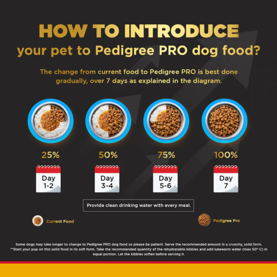 Pedigree PRO Large Adult Dry Food 10 KG + Container Free