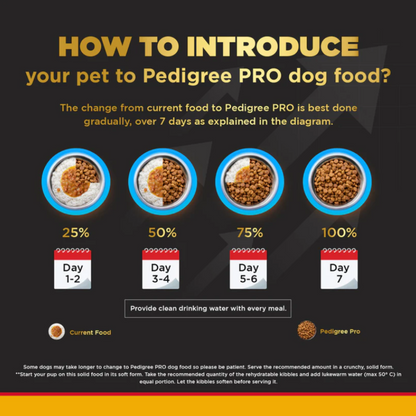 Pedigree PRO Large Adult Dry Food 10 KG + Container Free