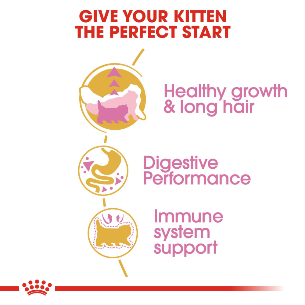 Royal Canin Persian Kitten 2 KG + Cat Collar Free