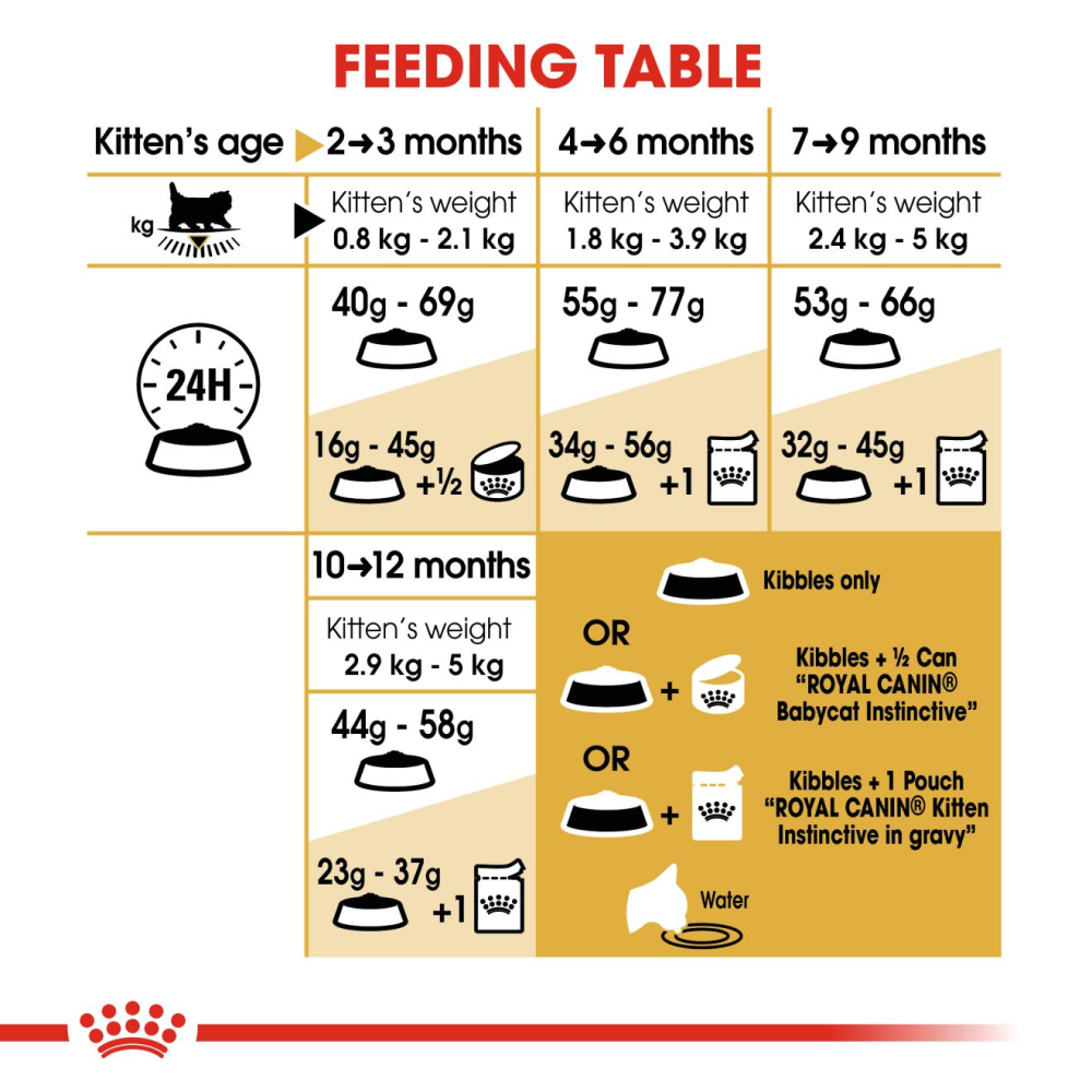 Royal Canin Persian Kitten 2 KG + Cat Collar Free