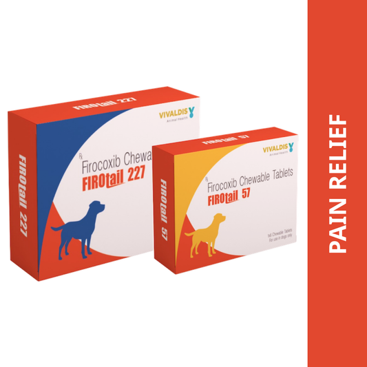 Vivaldis Firotail Dog Tablet (pack of 6 tablets)