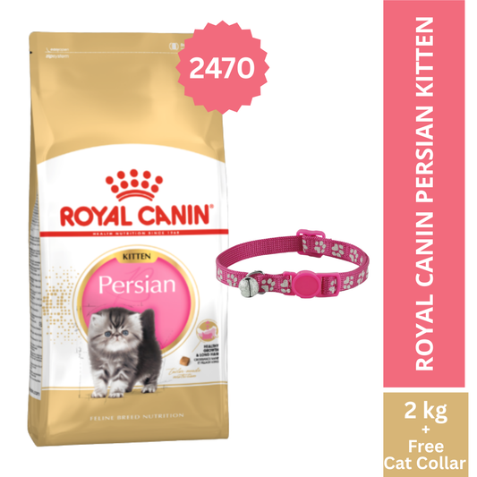 Royal Canin Persian Kitten 2 KG + Cat Collar Free
