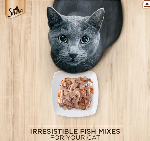 Sheba Fish with Sasami Premium Cat Wet Food