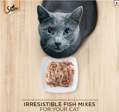 Sheba Fish with Sasami Premium Cat Wet Food and Sheba Chicken Flavour Irresistible All Life Stage Cat Dry Food Combo