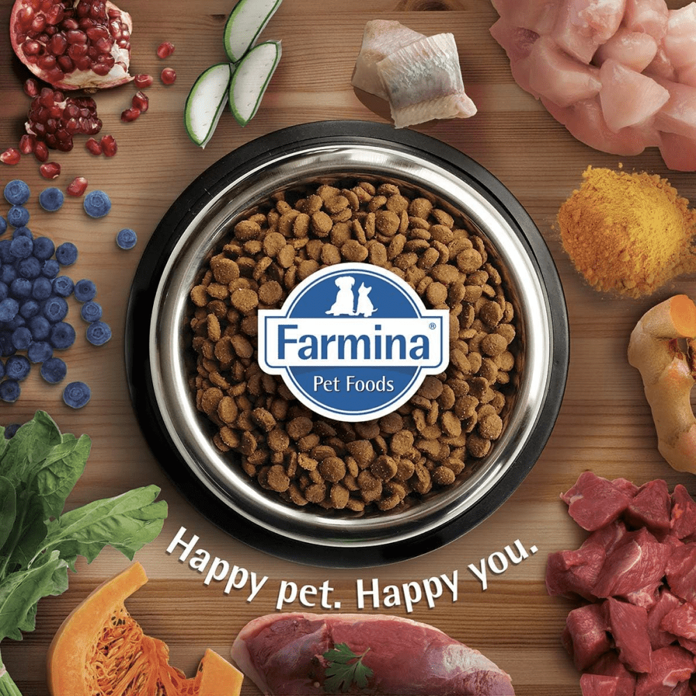 Farmina N&D Chicken & Pomegranate Ancestral Grain Adult Mini Dog Wet Food