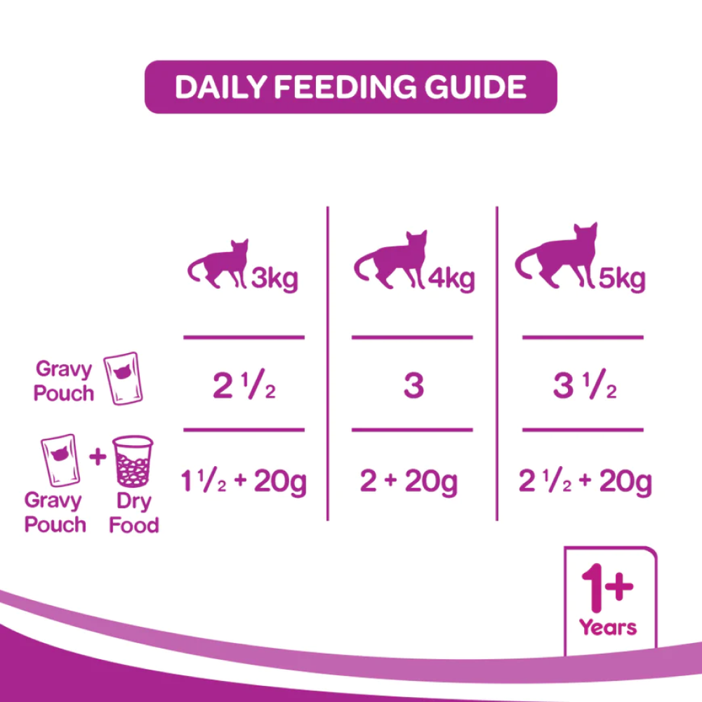 Whiskas Tuna in Jelly Meal and Chicken Gravy Adult Cat Wet Food Combo