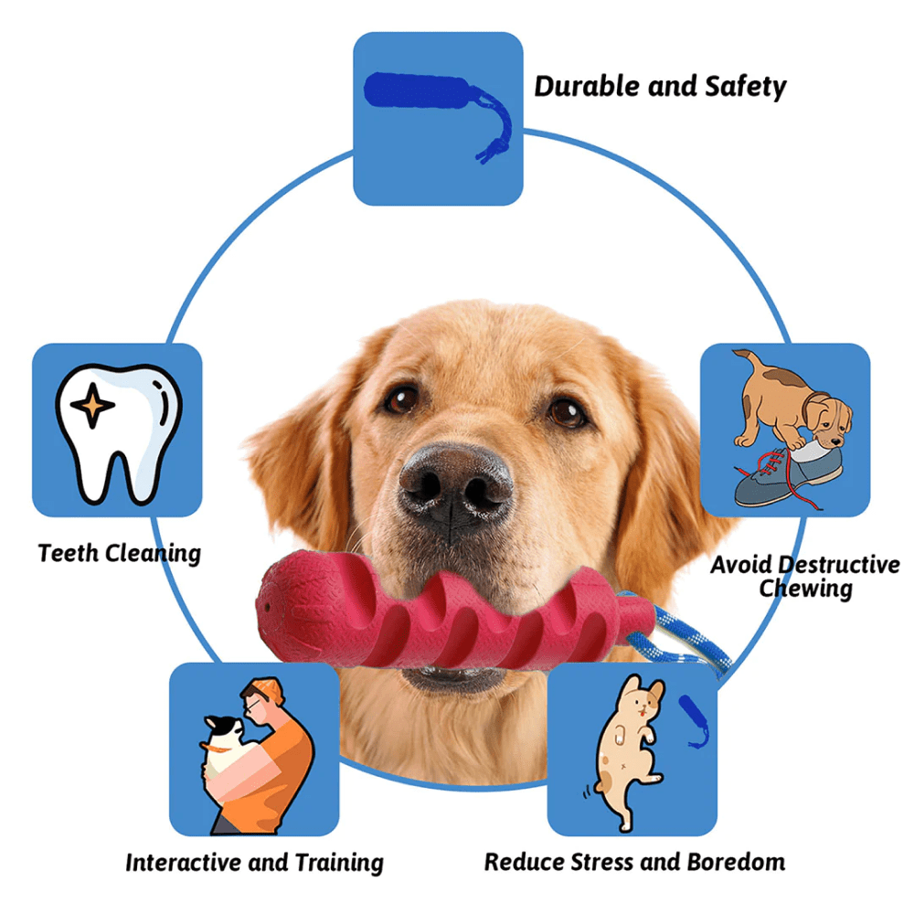 Pawsindia Ultimate Chew Stick Toy for Dogs