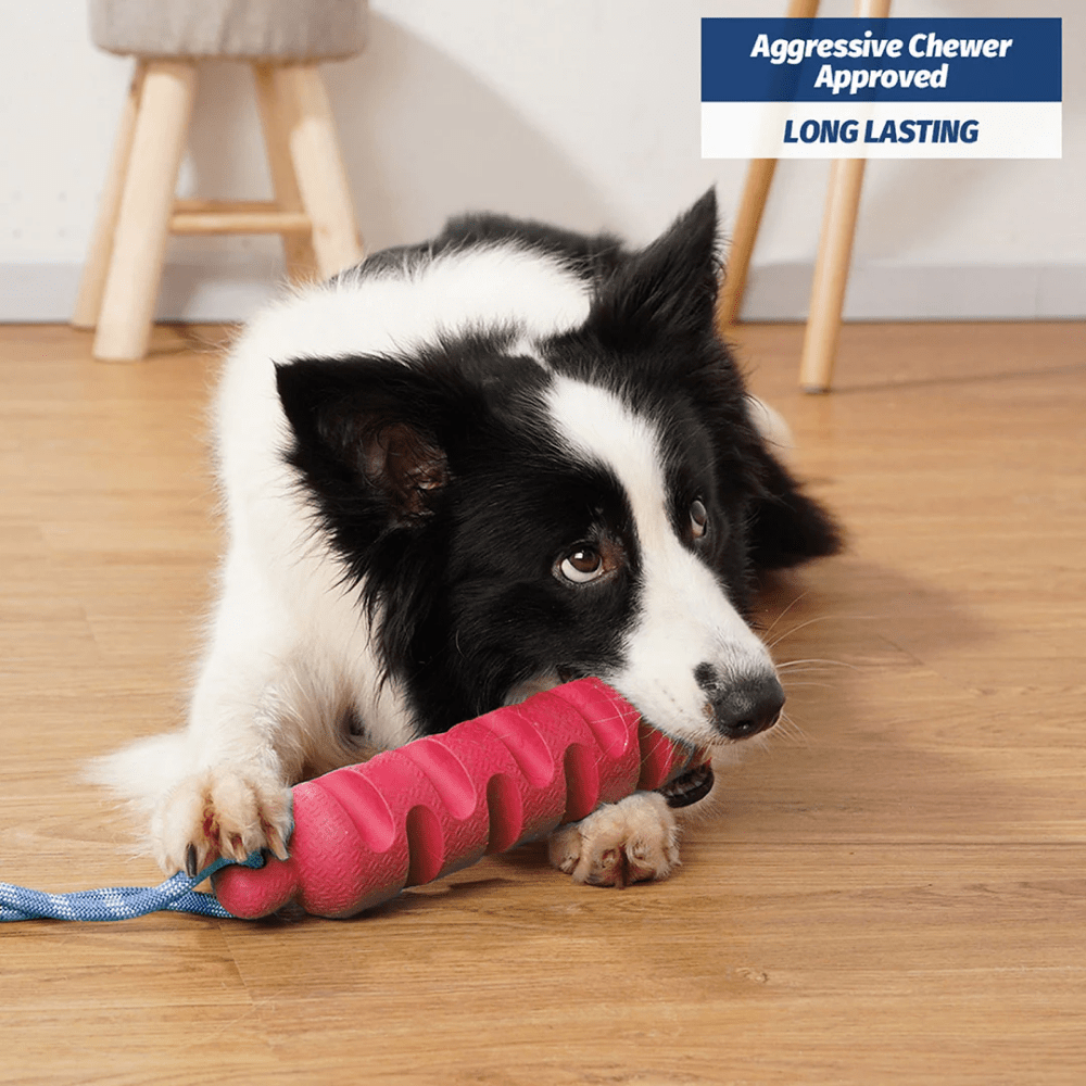 Pawsindia Ultimate Chew Stick Toy for Dogs