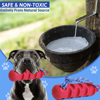 Pawsindia Ultimate Chew Stick Toy for Dogs